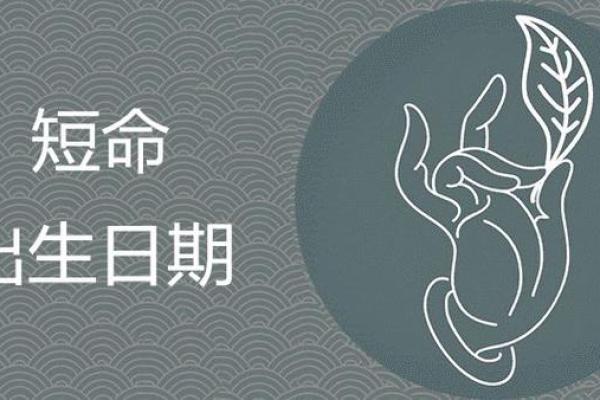 探秘2008年出生男孩的命运之路,命理解析帮你把握人生机遇 探秘2008年出生男孩的命运之路,命理解析帮你把握人生机遇