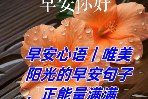 大林木命:找到适合自己的Logo之道,助你能量满满! 大林木命:找到适合自己的Logo之道,助你能量满满!