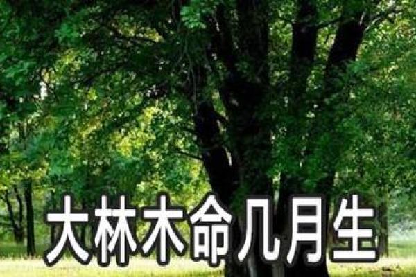 大林木命:找到适合自己的Logo之道,助你能量满满! 大林木命:找到适合自己的Logo之道,助你能量满满!