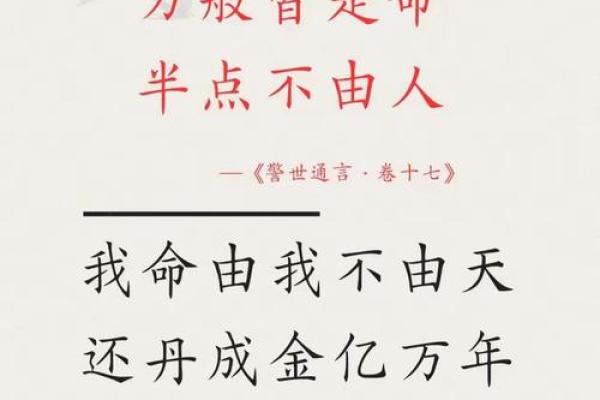 探索命理与人生：揭秘“根据什么命命什么官”的成语智慧