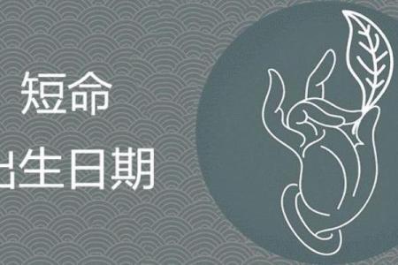 探秘2008年出生男孩的命运之路，命理解析帮你把握人生机遇