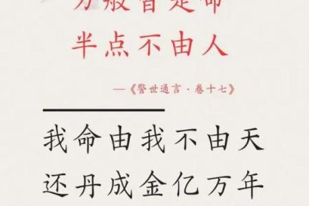 探索命理与人生：揭秘“根据什么命命什么官”的成语智慧
