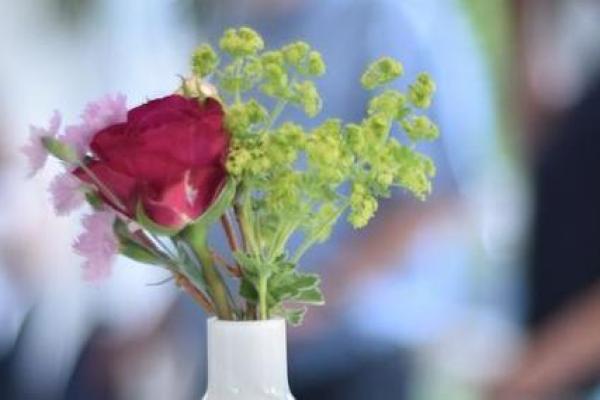 探寻适合食神女命的完美伴侣:结婚选择指南 探寻适合食神女命的完美伴侣:结婚选择指南