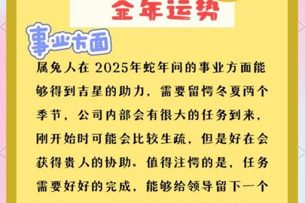 属兔女命运解析:1999年出生的兔女如何绽放人生精彩 属兔女命运解析:1999年出生的兔女如何绽放人生精彩