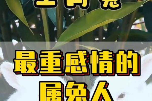 属兔女命运解析:1999年出生的兔女如何绽放人生精彩 属兔女命运解析:1999年出生的兔女如何绽放人生精彩