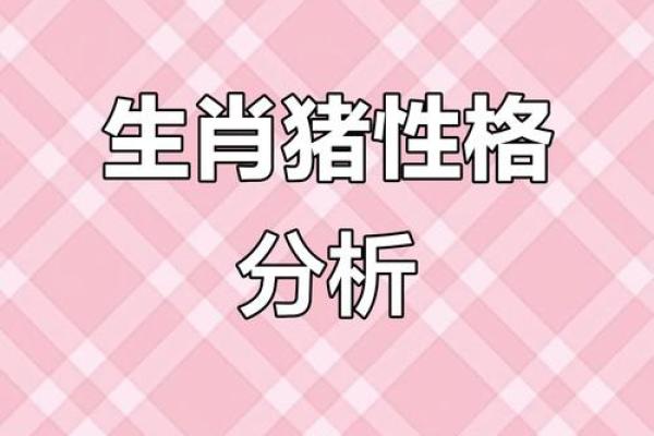 2019年:命里属什么?探寻生肖猪的秘密与运势! 2019年:命里属什么?探寻生肖猪的秘密与运势!