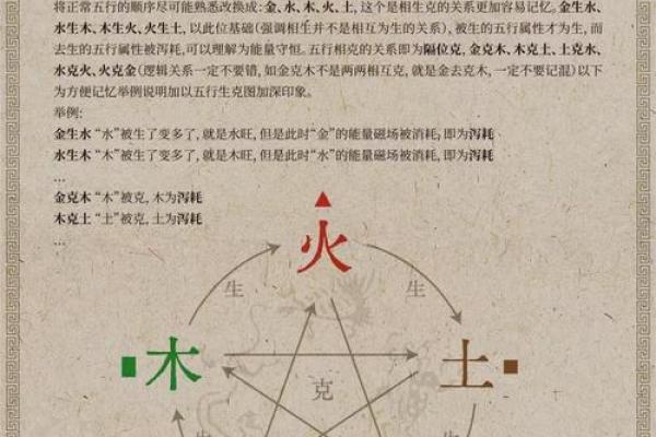 大林木命:探寻五行中的木之智慧与喜好属性 大林木命:探寻五行中的木之智慧与喜好属性