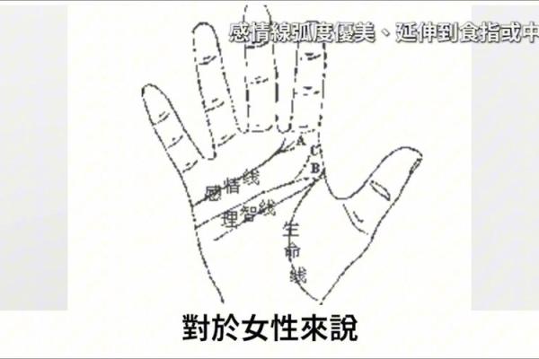 断掌命格的奥秘:解密掌纹对人生的潜在影响 断掌命格的奥秘:解密掌纹对人生的潜在影响