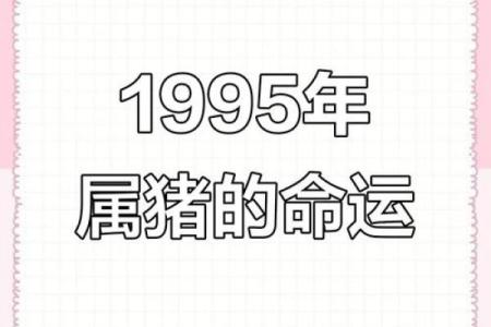 1995年属猪人的命运与性格分析：揭秘人生的独特轨迹