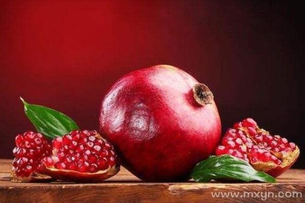 石榴命木命的人适合的职业与生活选择