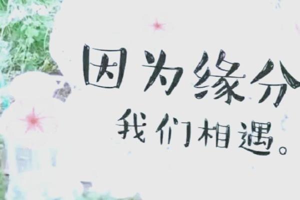 六十岁命人:岁月如歌,智慧与经验的交响乐 六十岁命人:岁月如歌,智慧与经验的交响乐