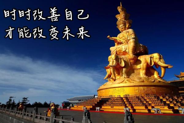 算命花童的命运解析：揭示生命中的秘密与机遇