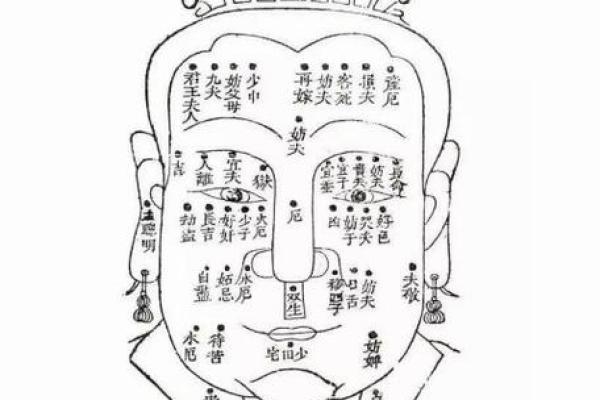 算命花童的命运解析：揭示生命中的秘密与机遇