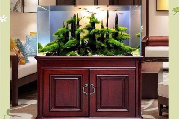 木命者如何选择鱼缸摆放位置提升运势? 木命者如何选择鱼缸摆放位置提升运势?
