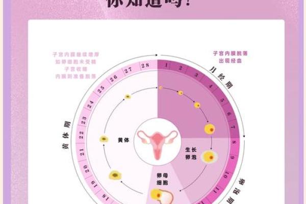 1977年女命特点与未来发展之道解析