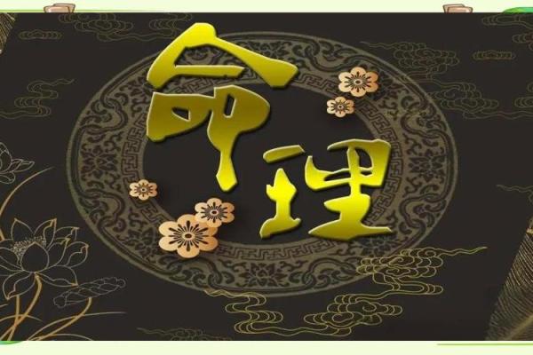 正印格女命的特质与职业选择引导