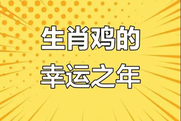 53岁属鸡人命运解析：开启新的人生阶段与机遇