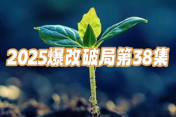 2025年：新机遇与挑战，开启属于你的命运之旅！