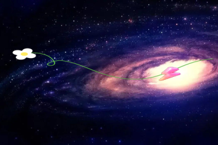 蝴蝶耳的命运解析：揭开神秘面纱，探索人生轨迹！