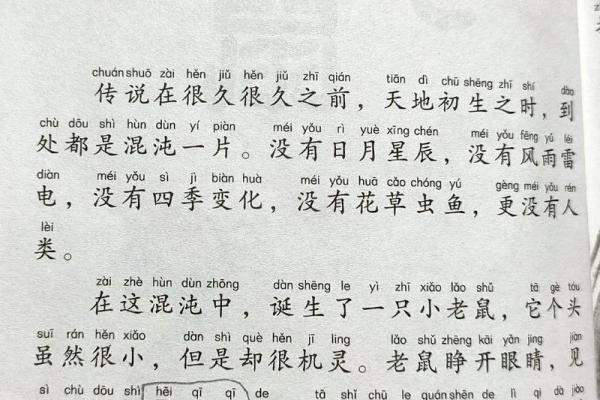 1996年出生的女士命理解析：揭开生肖鼠的智慧与命运之谜