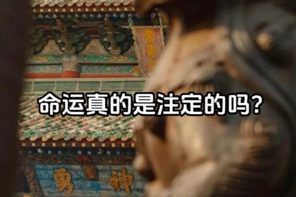 什么命格的人注定与缘分相伴，探寻命运的神秘