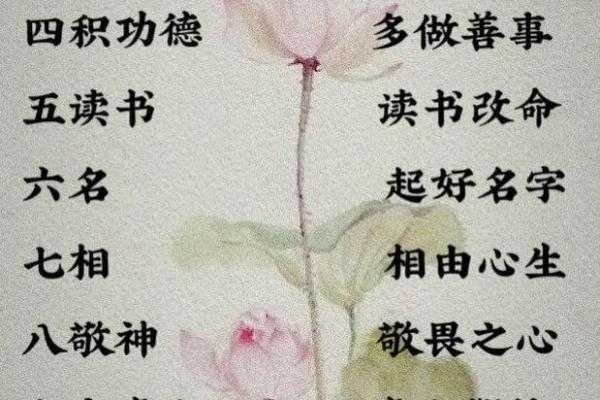 命运交锋：解析“两命争一命”的深刻含义