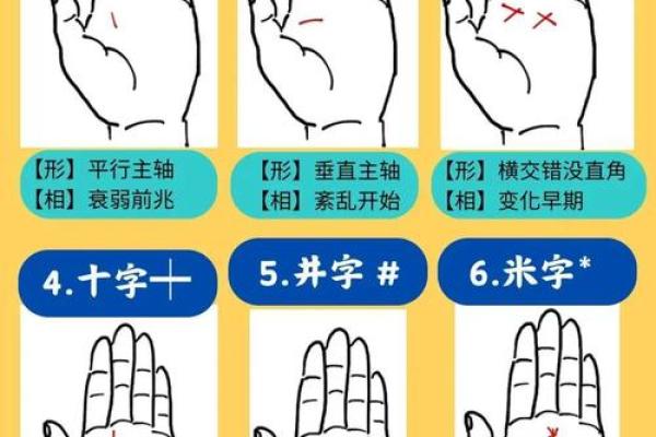 通过手相解读命运：揭示人生走向的秘密之道