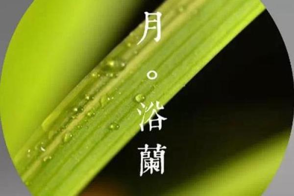 1949年出生的你,命运与性格的完美结合 1949年出生的你,命运与性格的完美结合