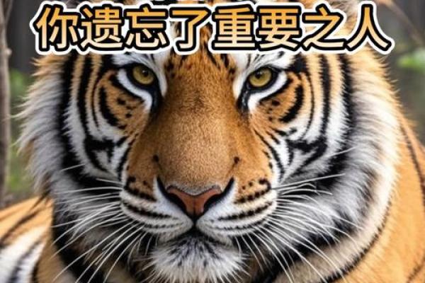 虎命的人生育什么宝宝最有福气?探讨符合虎命特征的理想子女选择 虎命的人生育什么宝宝最有福气?探讨符合虎命特征的理想子女选择