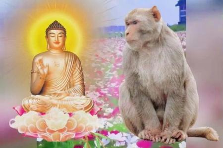 1997年生肖与命运：揭秘你的未来之路！