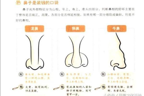 1992年正月十一出生的命运解析与人生轨迹