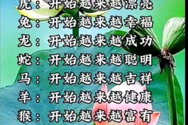 1998年生肖运势与命理解析：探秘你的命中注定