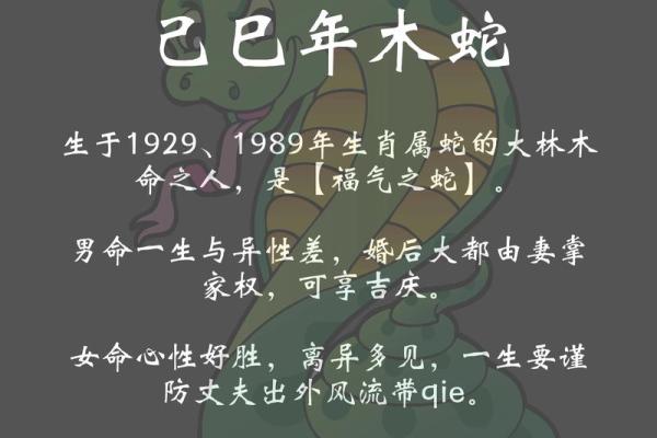 1998年生肖运势与命理解析：探秘你的命中注定