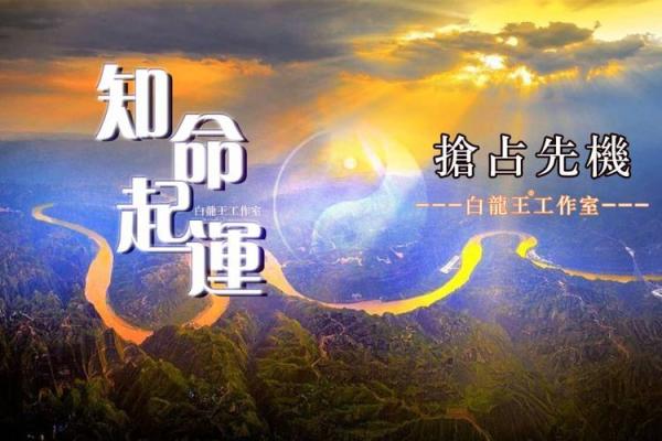 1995年正月出生人的命运探秘：谁是命运的掌舵者？