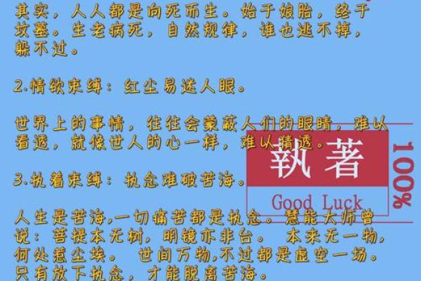 1985年出生的命运与人生的启示：探索命理与人生的奥秘