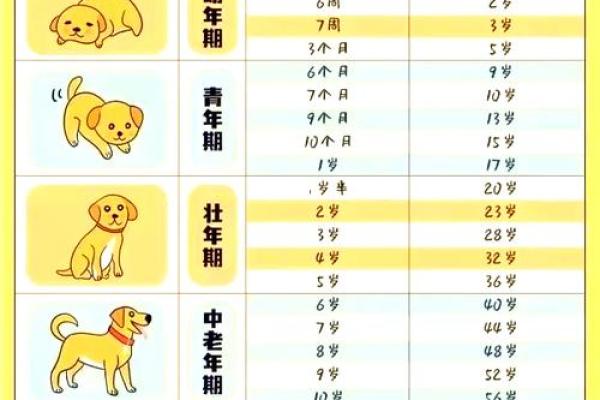 2006年狗年出生的孩子：哪些月份最为吉利？