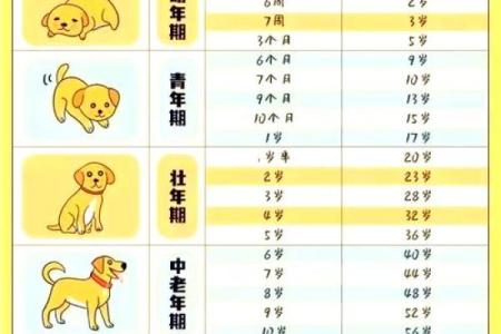 2006年狗年出生的孩子：哪些月份最为吉利？