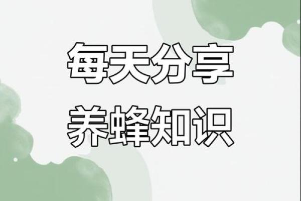 如何选择合适的命理助力养蜂,开启蜜蜂养殖之旅! 如何选择合适的命理助力养蜂,开启蜜蜂养殖之旅!