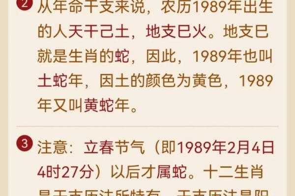 土龙命适合从事的行业与职业规划分析