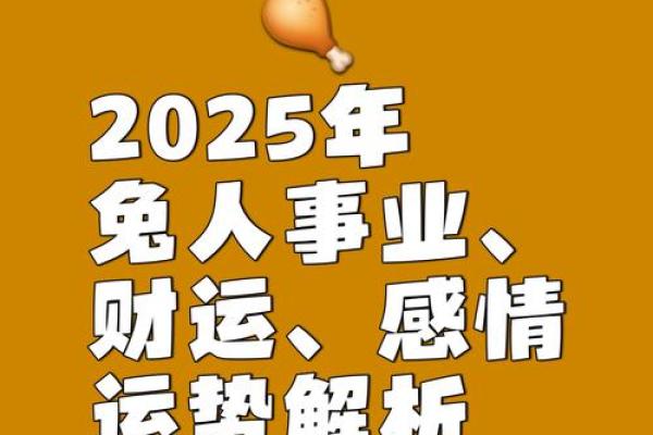2023年生肖运势解析:2023年属兔的人,如何把握机会与挑战? 2023年生肖运势解析:2023年属兔的人,如何把握机会与挑战?