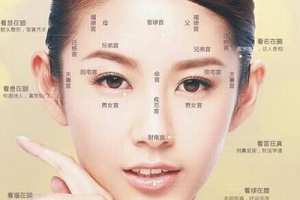 揭秘老板命:从面相看成功的人生轨迹 揭秘老板命:从面相看成功的人生轨迹