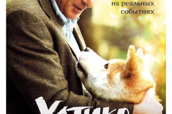 1994年狗年:忠诚与勇气的命运之旅 1994年狗年:忠诚与勇气的命运之旅