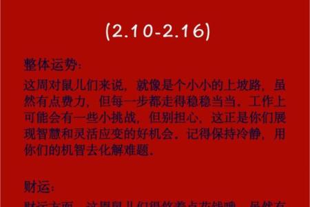 1984年鼠年：命理解析与生活智慧的启示