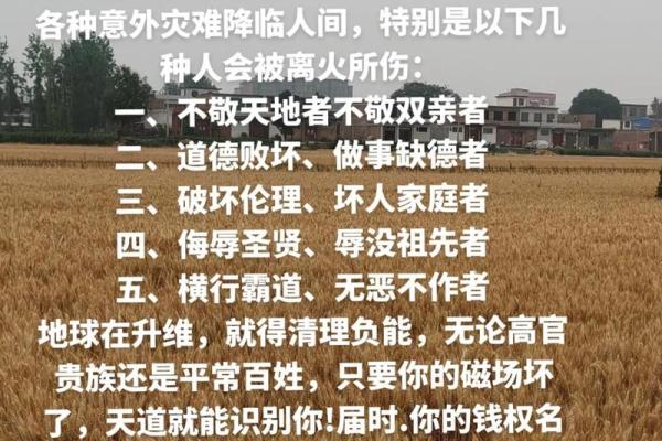 2024年:火命年与生活运势的深刻影响与展望 2024年:火命年与生活运势的深刻影响与展望