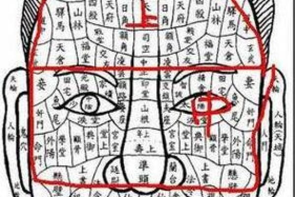 相学揭秘:虎头命的特质与运势解析 相学揭秘:虎头命的特质与运势解析