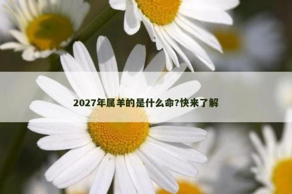 2027年属什么?揭秘这一年的命运与未来发展! 2027年属什么?揭秘这一年的命运与未来发展!