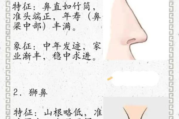 女人蒜头鼻子命运解析:气质与命运的巧妙交织 女人蒜头鼻子命运解析:气质与命运的巧妙交织