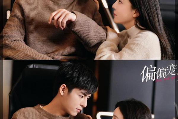 偏执总裁的宠爱:以妻如命的浪漫爱情故事 偏执总裁的宠爱:以妻如命的浪漫爱情故事