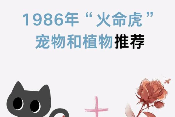 水命与火命夫妻的家庭宠物选择指南:如何让两种命理和谐共处? 水命与火命夫妻的家庭宠物选择指南:如何让两种命理和谐共处?