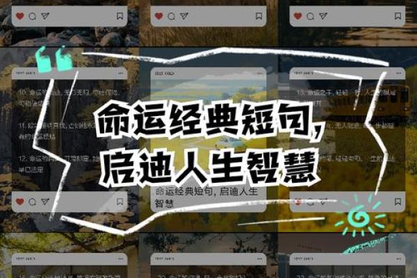 探索65年命运：生活智慧与启示